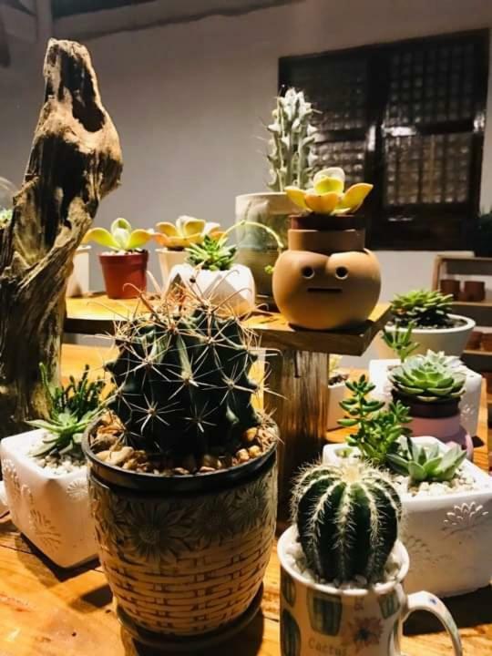 Lucban Samkara Restaurant And Garden Resort מראה חיצוני תמונה